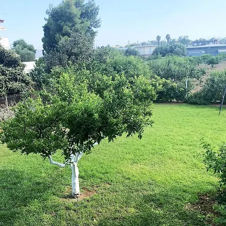 Luxury With Garden In The Suburbs