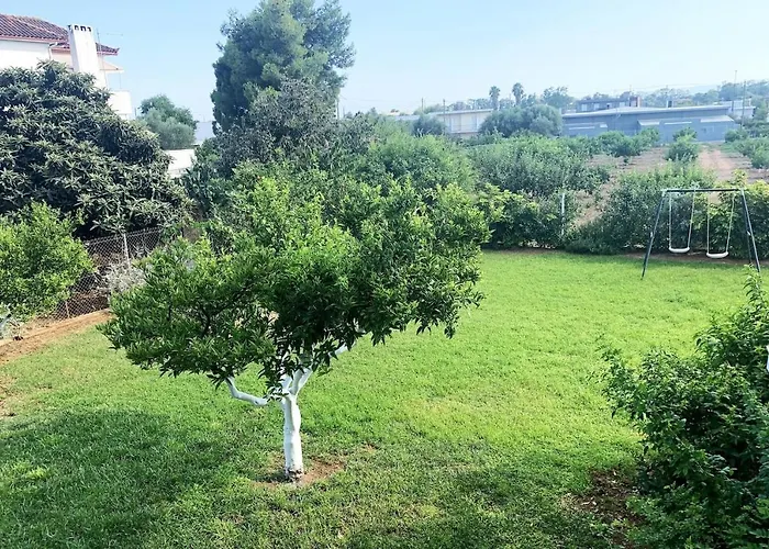 Luxury With Garden In The Suburbs